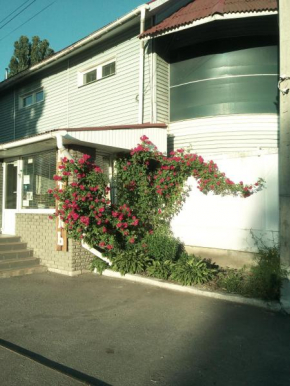 motel Pid Strihoyu